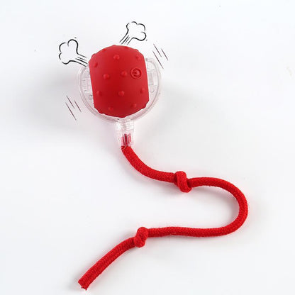 SPOVEN Interactive Cat & Dog Toys - USB Rechargeable Fast Rolling Ball with Bird Chirping & Light - Anti-Depression Pet Fun Gift - Red Color - 6.3X6.0X5.0Cm
