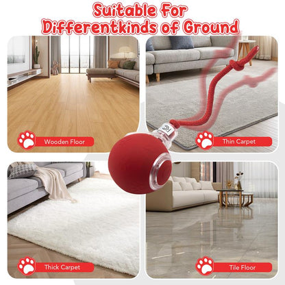 SPOVEN Interactive Cat & Dog Toys - USB Rechargeable Fast Rolling Ball with Bird Chirping & Light - Anti-Depression Pet Fun Gift - Red Color - 6.3X6.0X5.0Cm